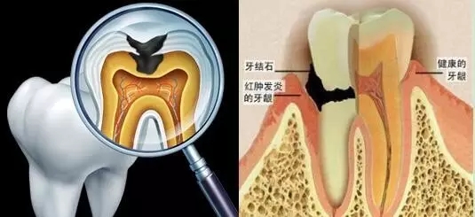 1464572508617147.jpg 640.webp (3).jpg