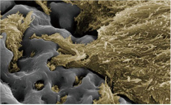 1495094781546671.jpg 2017_03.jpg